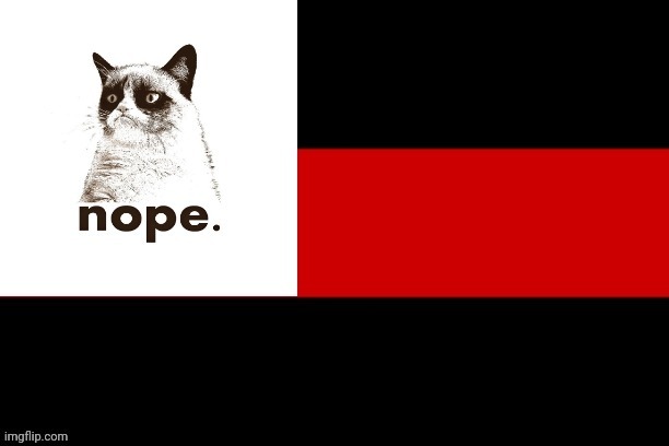 Official  Opposition Party™ Flag | image tagged in the opposition party,drstrangmeme,imgflip,president | made w/ Imgflip meme maker