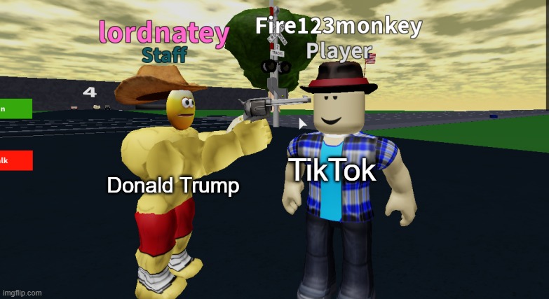 YOU'RE FIRED! | Donald Trump; TikTok | image tagged in guy vs gun,memes,tik tok,funny memes | made w/ Imgflip meme maker