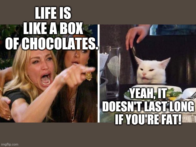 Smudge the cat | LIFE IS LIKE A BOX OF CHOCOLATES. YEAH, IT DOESN'T LAST LONG IF YOU'RE FAT! | image tagged in smudge the cat | made w/ Imgflip meme maker