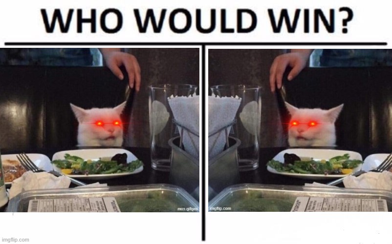 The Wizard of Goslar | image tagged in cats,funny meme,who would win,staring contest,staring,cat at dinner | made w/ Imgflip meme maker