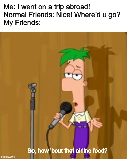 Ah. How I miss those days | Me: I went on a trip abroad!
Normal Friends: Nice! Where'd u go?
My Friends:; So, how 'bout that airline food? | image tagged in funny,memes,phineas and ferb,airlines,food | made w/ Imgflip meme maker
