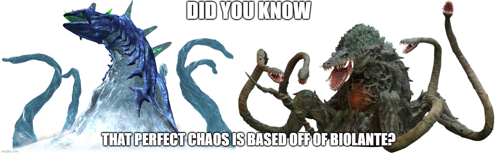 just a fun fact for yall. | DID YOU KNOW; THAT PERFECT CHAOS IS BASED OFF OF BIOLANTE? | made w/ Imgflip meme maker