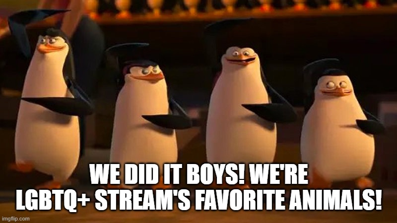 penguins of madagascar | WE DID IT BOYS! WE'RE LGBTQ+ STREAM'S FAVORITE ANIMALS! | image tagged in penguins of madagascar | made w/ Imgflip meme maker