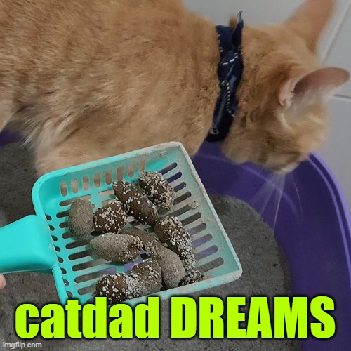 catdad DREAMS | made w/ Imgflip meme maker