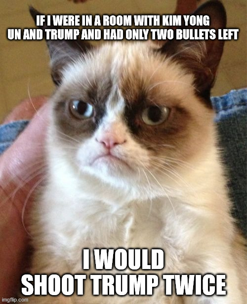 Decisions have to be made | IF I WERE IN A ROOM WITH KIM YONG UN AND TRUMP AND HAD ONLY TWO BULLETS LEFT; I WOULD SHOOT TRUMP TWICE | image tagged in trump,kim jong un,idiot,remove,president | made w/ Imgflip meme maker