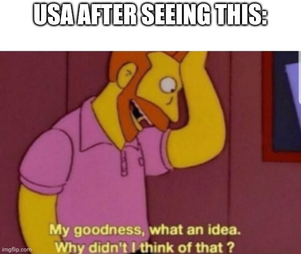 My God why didn't i think of that | USA AFTER SEEING THIS: | image tagged in my god why didn't i think of that | made w/ Imgflip meme maker