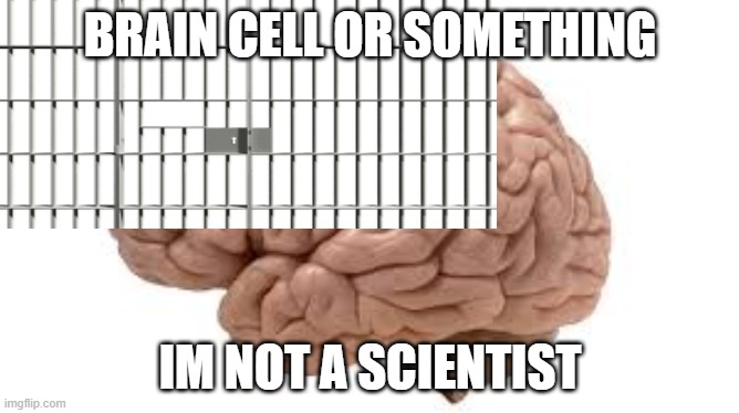 BRAIN CELL OR SOMETHING; IM NOT A SCIENTIST | image tagged in funny | made w/ Imgflip meme maker