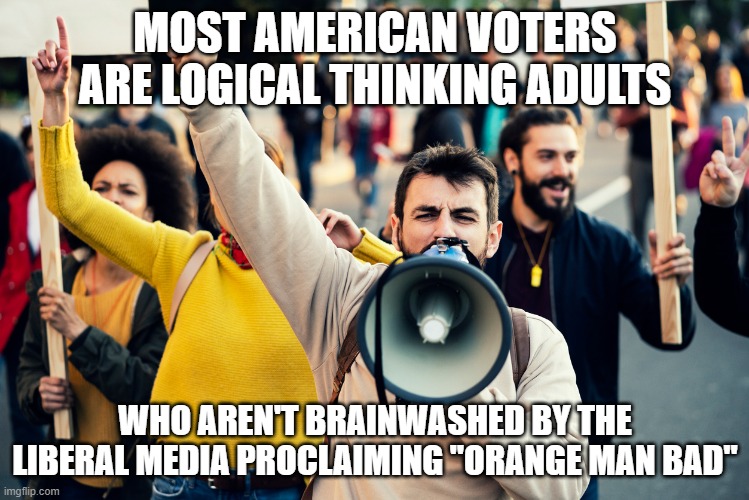 let's prove it to hollywood, msm, sports leagues, Beijing, and academia with 4 more years | MOST AMERICAN VOTERS ARE LOGICAL THINKING ADULTS; WHO AREN'T BRAINWASHED BY THE LIBERAL MEDIA PROCLAIMING "ORANGE MAN BAD" | image tagged in outrage mob | made w/ Imgflip meme maker