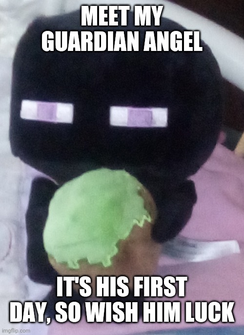 My little enderman | MEET MY GUARDIAN ANGEL; IT'S HIS FIRST DAY, SO WISH HIM LUCK | image tagged in enderman | made w/ Imgflip meme maker