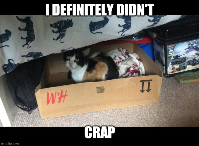 I DEFINITELY DIDN'T; CRAP | image tagged in cat | made w/ Imgflip meme maker