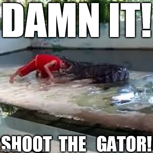 DAMN IT! SHOOT  THE   GATOR! | made w/ Imgflip meme maker