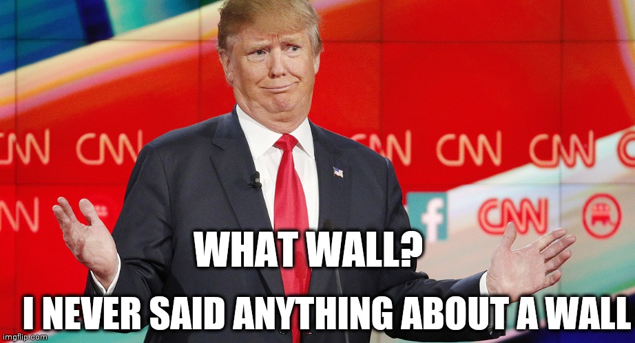 What wall? | WHAT WALL? I NEVER SAID ANYTHING ABOUT A WALL | image tagged in trump wall,trump 2020,trump meme,donald trump,funny meme | made w/ Imgflip meme maker