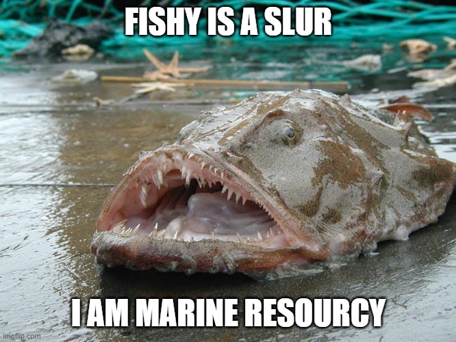 Fishy is a SLUR | FISHY IS A SLUR; I AM MARINE RESOURCY | image tagged in diversity,political correctness,political humor,woke,fish,fishy | made w/ Imgflip meme maker