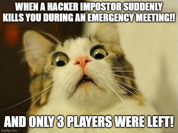 This, sadly...Happened to me!:( | WHEN A HACKER IMPOSTOR SUDDENLY KILLS YOU DURING AN EMERGENCY MEETING!! AND ONLY 3 PLAYERS WERE LEFT! | image tagged in memes,scared cat,among us hacker | made w/ Imgflip meme maker