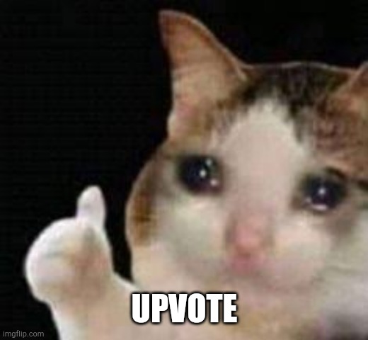 Approved crying cat | UPVOTE | image tagged in approved crying cat | made w/ Imgflip meme maker