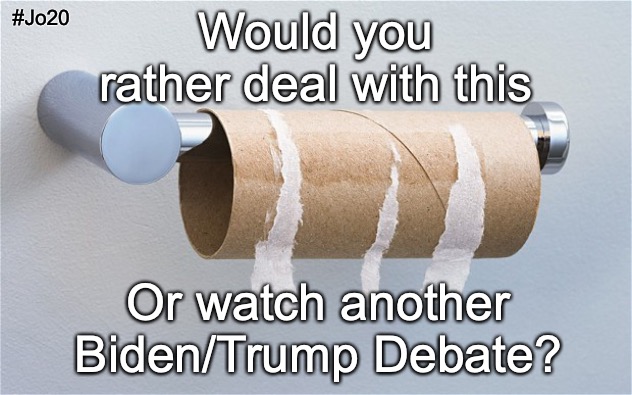 Talk about choosing the Lesser Evil... | #Jo20; Would you rather deal with this; Or watch another Biden/Trump Debate? | image tagged in empty toilet paper roll,presidential debate,election 2020,biden,trump,jorgensen for president | made w/ Imgflip meme maker