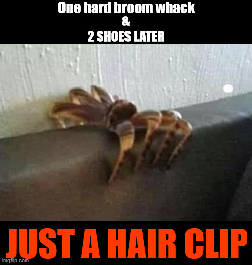 Heart Attack Clip | One hard broom whack; &; 2 SHOES LATER; JUST A HAIR CLIP | image tagged in memes,illusion,scary,spider,animals,funny | made w/ Imgflip meme maker