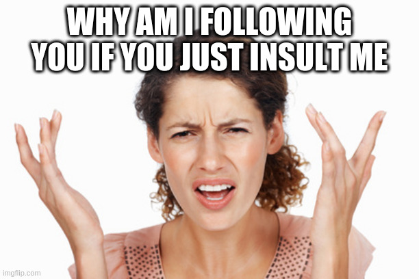 Indignant | WHY AM I FOLLOWING YOU IF YOU JUST INSULT ME | image tagged in indignant | made w/ Imgflip meme maker