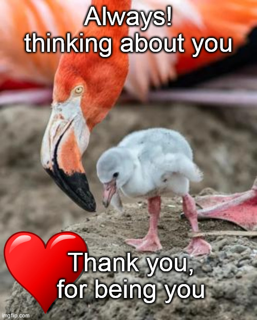 Always! thinking about you; Thank you, for being you | image tagged in thank you | made w/ Imgflip meme maker