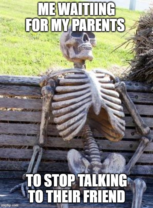 Every trip to the mall | ME WAITIING FOR MY PARENTS; TO STOP TALKING TO THEIR FRIEND | image tagged in memes,waiting skeleton | made w/ Imgflip meme maker