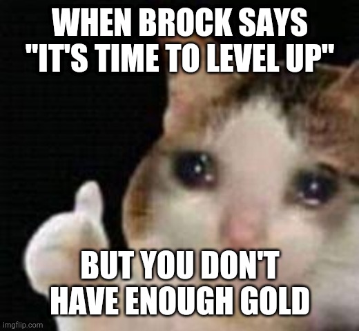 oof no gold. | WHEN BROCK SAYS "IT'S TIME TO LEVEL UP"; BUT YOU DON'T HAVE ENOUGH GOLD | image tagged in approved crying cat,brawl stars | made w/ Imgflip meme maker