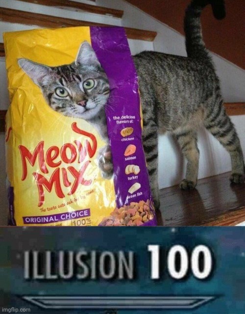Illusion 100: The Cat and the Meow Mix | image tagged in illusion 100,cats,optical illusion,memes,meme,cat | made w/ Imgflip meme maker