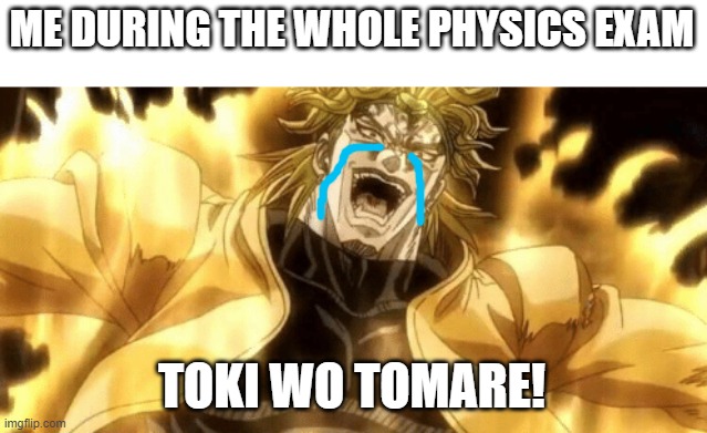 The_World_Physics_Exam | ME DURING THE WHOLE PHYSICS EXAM; TOKI WO TOMARE! | image tagged in the world | made w/ Imgflip meme maker