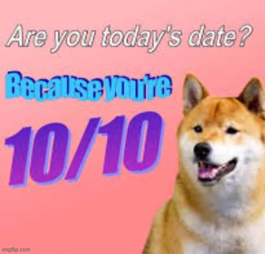 You're 10/10! | image tagged in meems,funny,dogs,10/10,date | made w/ Imgflip meme maker