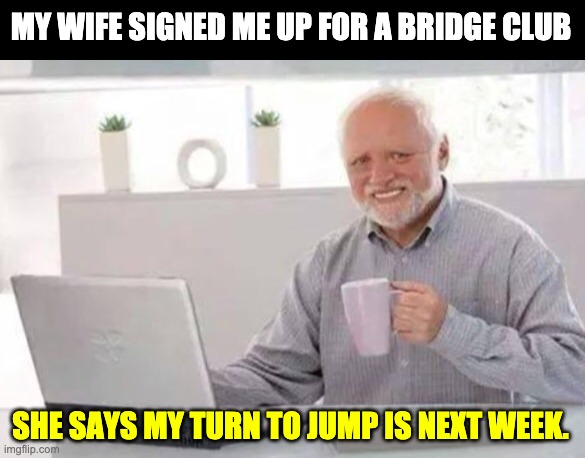 Bridge Club | MY WIFE SIGNED ME UP FOR A BRIDGE CLUB; SHE SAYS MY TURN TO JUMP IS NEXT WEEK. | image tagged in harold | made w/ Imgflip meme maker