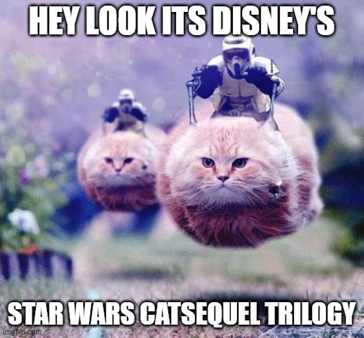 Storm Trooper Cats | HEY LOOK ITS DISNEY'S; STAR WARS CATSEQUEL TRILOGY | image tagged in storm trooper cats | made w/ Imgflip meme maker