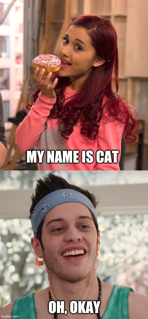 Cat and Chad Meet Eachother | MY NAME IS CAT; OH, OKAY | image tagged in ariana grande donut,petedavidson,chad,cat valentine | made w/ Imgflip meme maker
