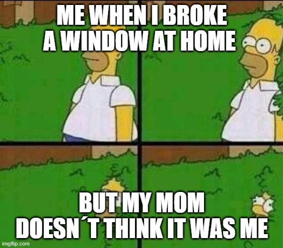 Homer Simpson in Bush - Large | ME WHEN I BROKE A WINDOW AT HOME; BUT MY MOM DOESN´T THINK IT WAS ME | image tagged in homer simpson in bush - large | made w/ Imgflip meme maker