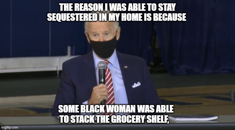 Cheap Laborer | THE REASON I WAS ABLE TO STAY SEQUESTERED IN MY HOME IS BECAUSE; SOME BLACK WOMAN WAS ABLE TO STACK THE GROCERY SHELF, | image tagged in joe biden,kamala harris,biden obama,creepy joe biden,george soros,donald trump | made w/ Imgflip meme maker