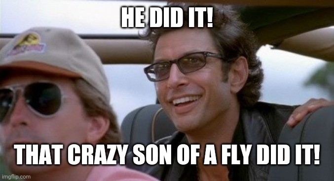 He did it | HE DID IT! THAT CRAZY SON OF A FLY DID IT! | image tagged in he did it | made w/ Imgflip meme maker