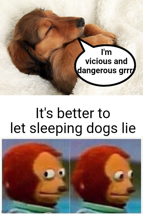 Let Sleeping Dogs Lie | I'm vicious and dangerous grrrr; It's better to let sleeping dogs lie | image tagged in memes,monkey puppet,sleeping,dog,bad pun dog,lies | made w/ Imgflip meme maker