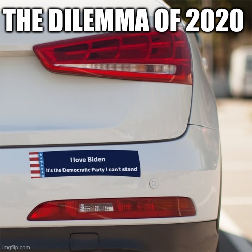 Dilemma of 2020 | THE DILEMMA OF 2020 | image tagged in i love biden,democratic party,democrats,election 2020,vote,biden | made w/ Imgflip meme maker