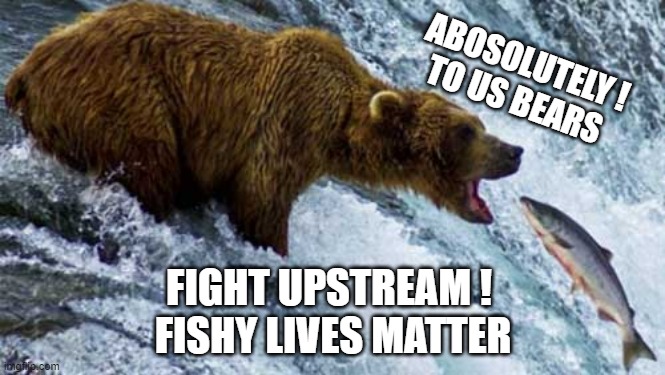Fishy Lives Matter |  ABOSOLUTELY !
TO US BEARS; FIGHT UPSTREAM ! 
FISHY LIVES MATTER | image tagged in politics,environment,diversity,fighting,bear,salmon | made w/ Imgflip meme maker