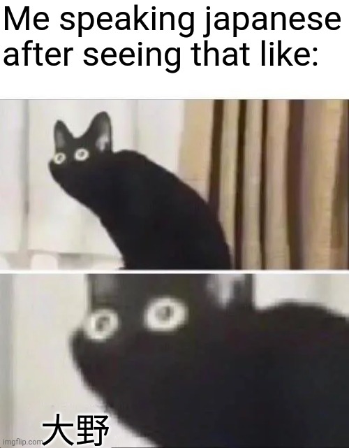 Oh No Black Cat | Me speaking japanese after seeing that like:; 大野 | image tagged in oh no black cat | made w/ Imgflip meme maker