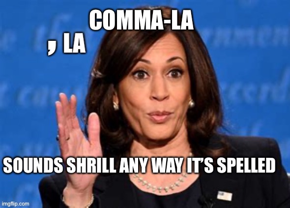 Shrill-splaining | COMMA-LA; SOUNDS SHRILL ANY WAY IT’S SPELLED | image tagged in kamala harris,democrats,loser,annoying | made w/ Imgflip meme maker