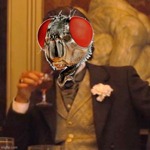 Laughing Leo | image tagged in memes,laughing leo | made w/ Imgflip meme maker
