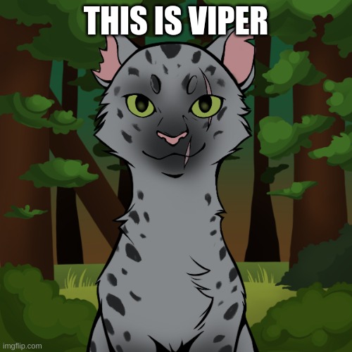 Thank you Spooky_Emo_Dude for the name UwU | THIS IS VIPER | made w/ Imgflip meme maker