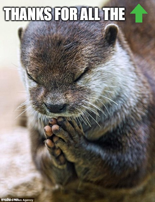 Thank you Lord Otter | THANKS FOR ALL THE | image tagged in thank you lord otter | made w/ Imgflip meme maker