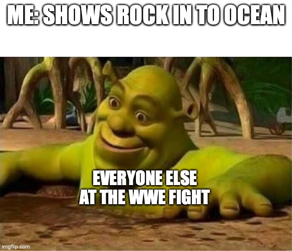 shrek | ME: SHOWS ROCK IN TO OCEAN; EVERYONE ELSE AT THE WWE FIGHT | image tagged in shrek | made w/ Imgflip meme maker