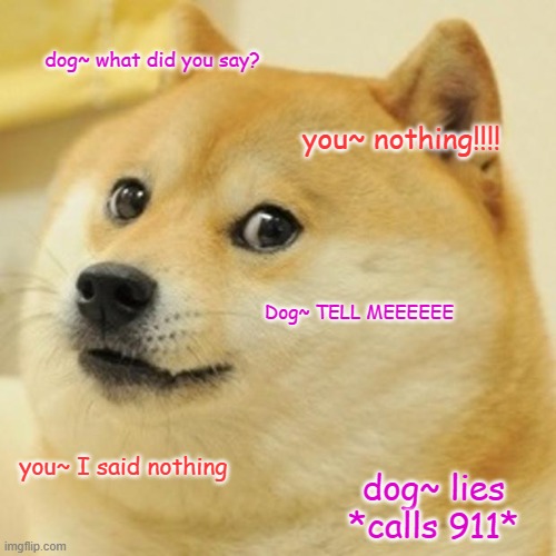 tell meeeeeeeee | dog~ what did you say? you~ nothing!!!! Dog~ TELL MEEEEEE; you~ I said nothing; dog~ lies *calls 911* | image tagged in memes,doge | made w/ Imgflip meme maker