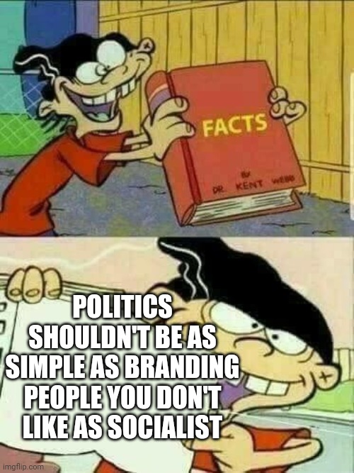 Double d facts book  | POLITICS SHOULDN'T BE AS SIMPLE AS BRANDING PEOPLE YOU DON'T LIKE AS SOCIALIST | image tagged in double d facts book | made w/ Imgflip meme maker