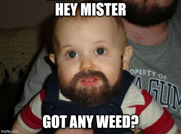 Beard Baby Meme | HEY MISTER; GOT ANY WEED? | image tagged in memes,beard baby | made w/ Imgflip meme maker