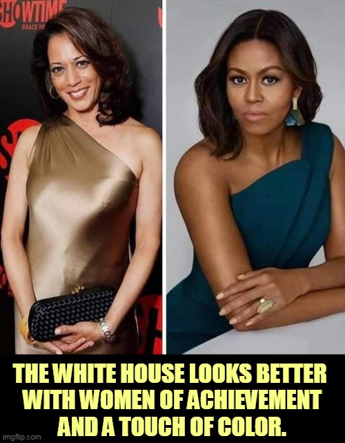 Trump's biggest nightmare, black women who did better than he did in college. | THE WHITE HOUSE LOOKS BETTER 
WITH WOMEN OF ACHIEVEMENT
AND A TOUCH OF COLOR. | image tagged in kamala harris,michelle obama,beautiful,classy,married | made w/ Imgflip meme maker