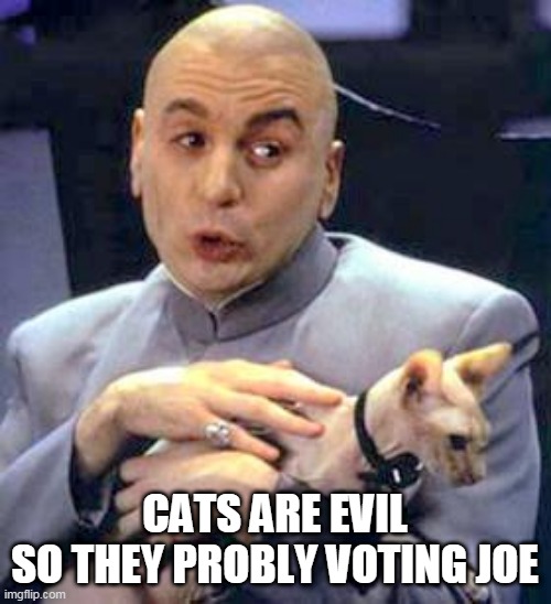 Dr Evil Cat | CATS ARE EVIL
SO THEY PROBLY VOTING JOE | image tagged in dr evil cat | made w/ Imgflip meme maker