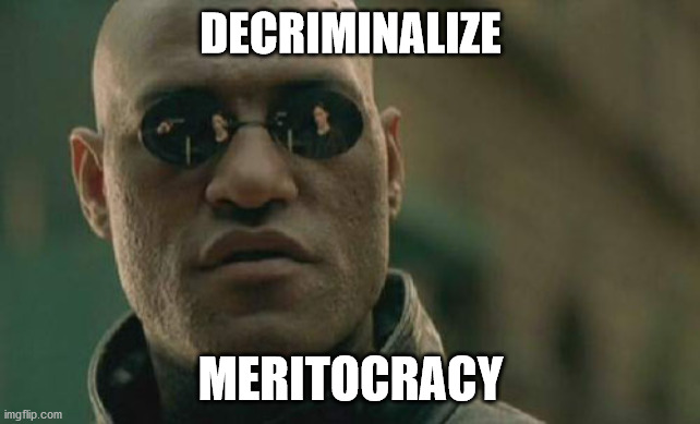 Matrix Morpheus | DECRIMINALIZE; MERITOCRACY | image tagged in memes,matrix morpheus | made w/ Imgflip meme maker