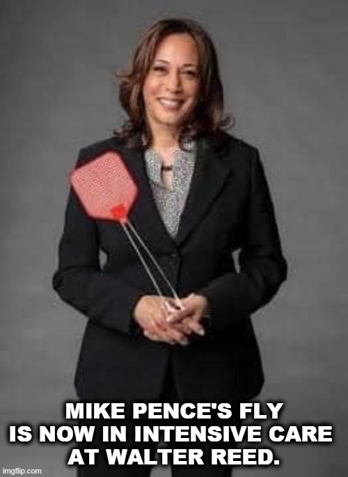 Shed a tear for Mike Pence's fly. | MIKE PENCE'S FLY IS NOW IN INTENSIVE CARE 
AT WALTER REED. | image tagged in kamala harris vanquishing mike pence's fly,kamala harris,smile,mike pence,fly | made w/ Imgflip meme maker